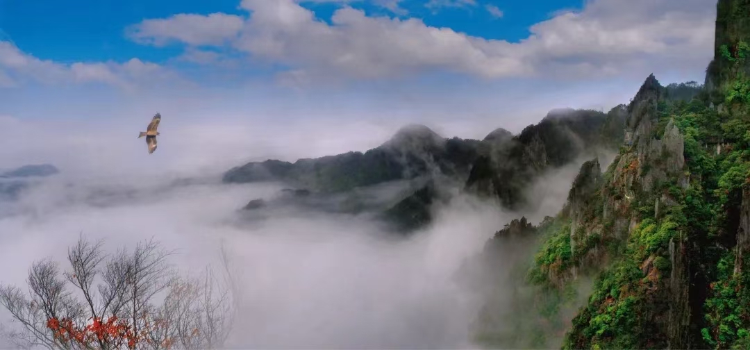 八年级下册语文第十七课读读写写,八年级上册语文读读写写拼音