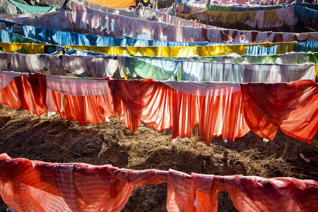 我不是小*藏西**，我是大甘南