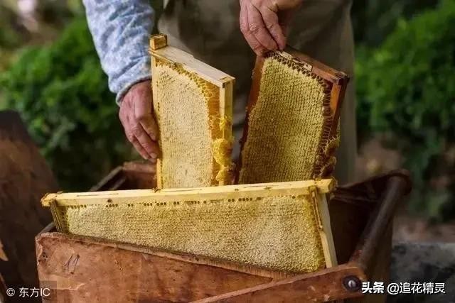 有没有蜜是蜂王的问题吧,看蜜蜂有没有王怎么看