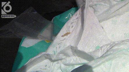 京东纸尿裤有虫,艾薇儿纸尿裤有虫么