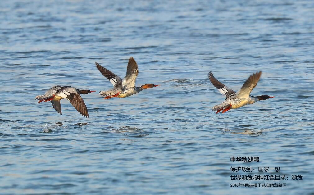 威海南海新区宜居吗,威海南海新区哪个小区比较好