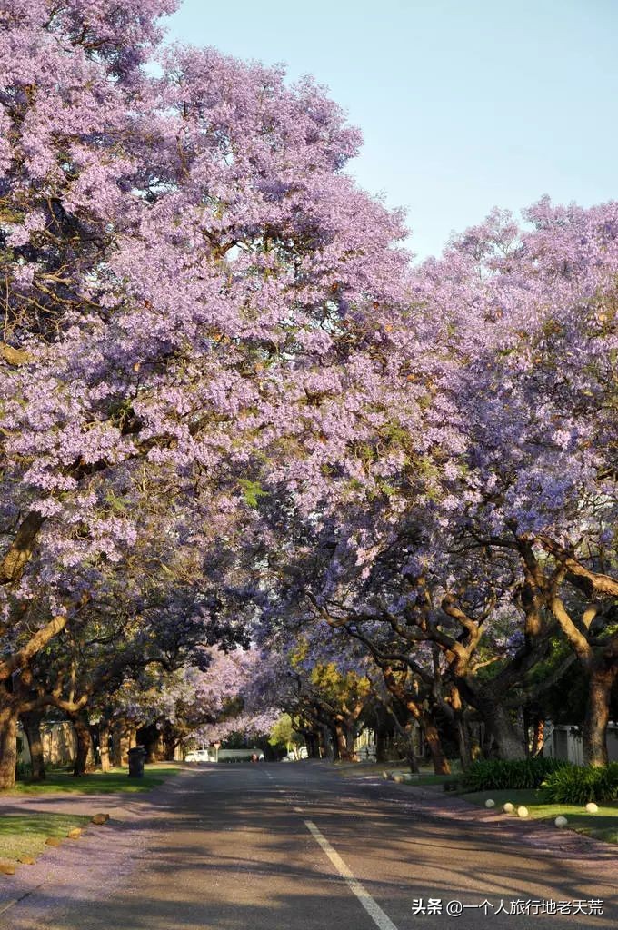 七天假旅游攻略推荐地方,拼假旅游最全攻略