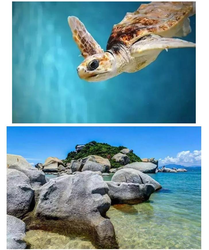 惠州虹海湾风景区,惠州海边冲浪虹海湾