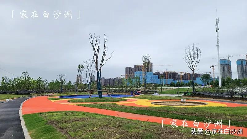 洪山江滩现状如何,洪山江滩有潜力吗