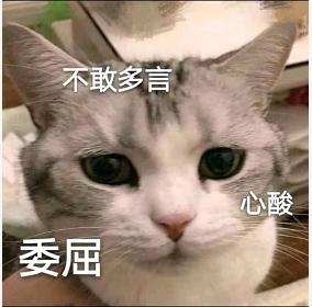 普通人学心理学哪个版本最好,为什么要学心理学的理由