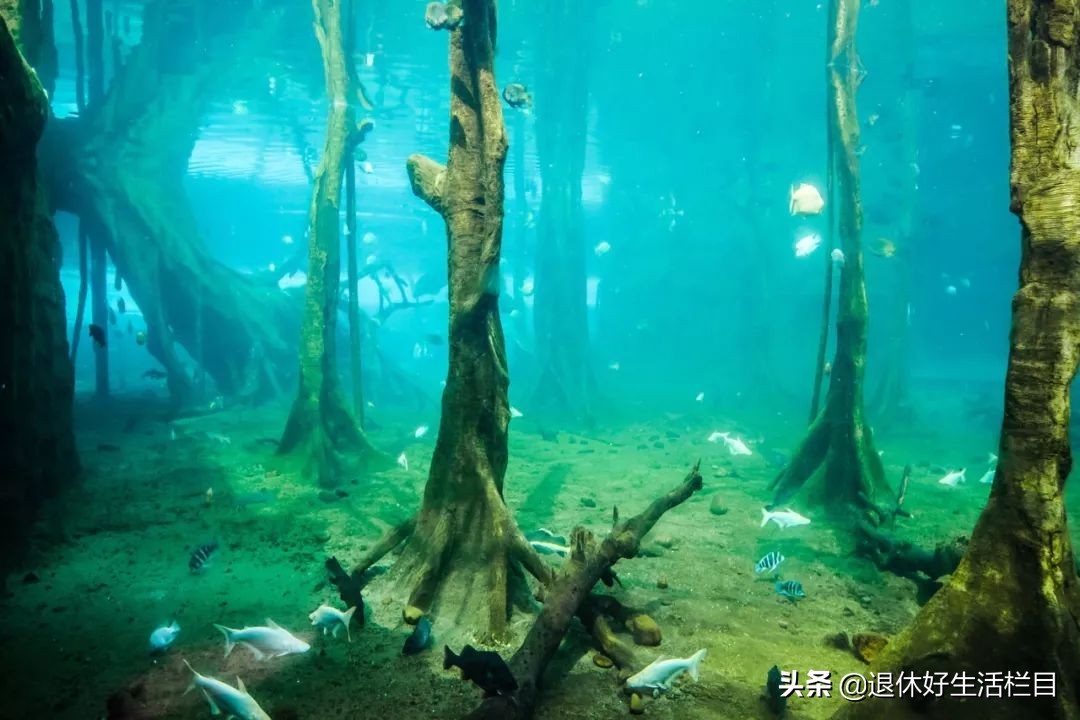 珠海浪漫出行,珠海很浪漫的城市