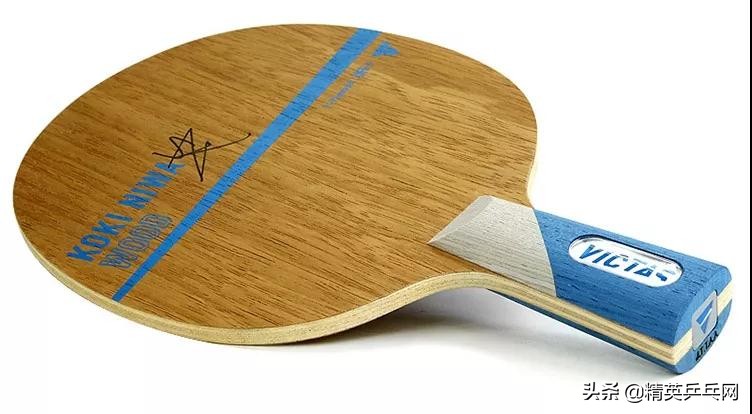 乒乓球十大经典底板排名,乒乓球底板高端的前十名是哪些
