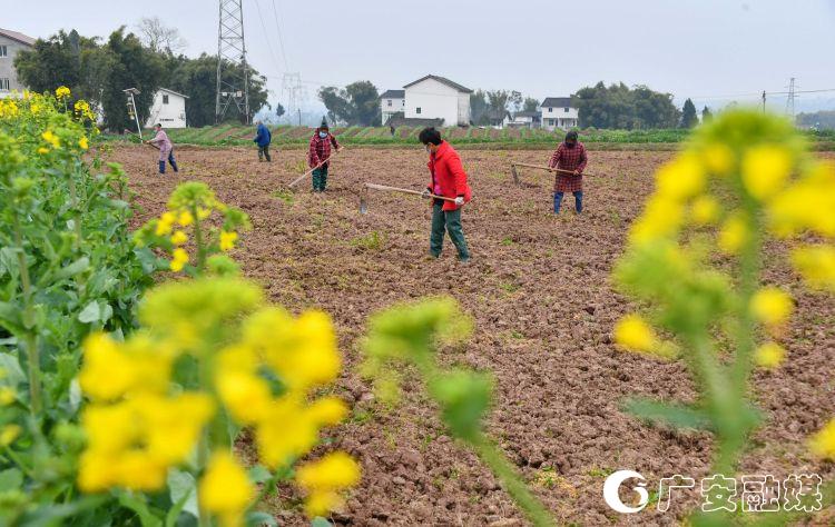 人勤春来早全力备春耕,人勤春来早农事忙春耕备耕