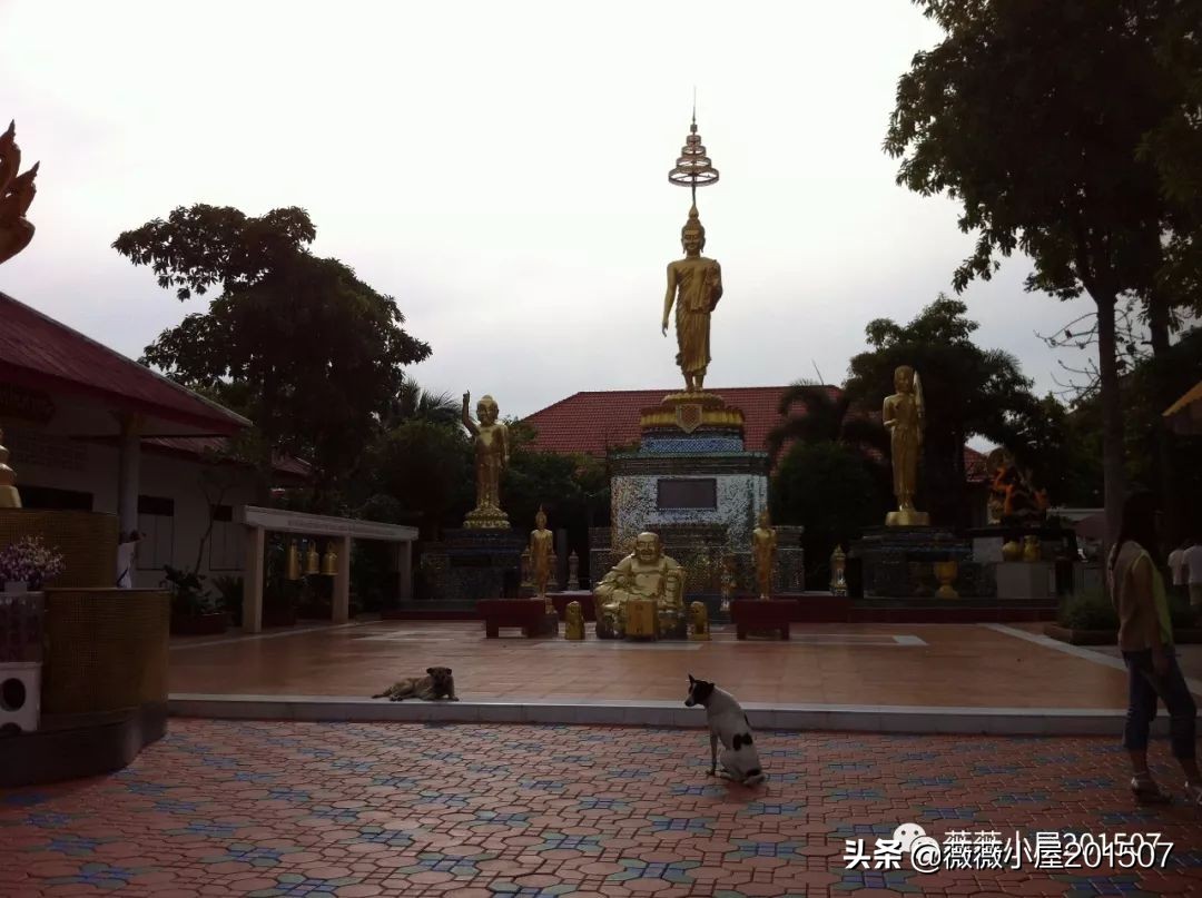 泰国为东南亚最具异域风情的国家,带你领略不一样的泰美丽曼谷