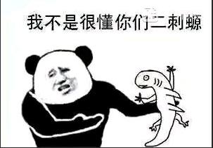 贴吧老哥的整活日常,贴吧老哥分享