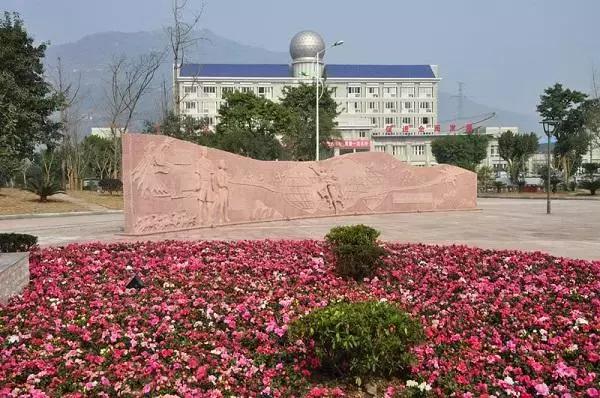 重庆田家炳中学教学质量怎么样,重庆区县中学排名