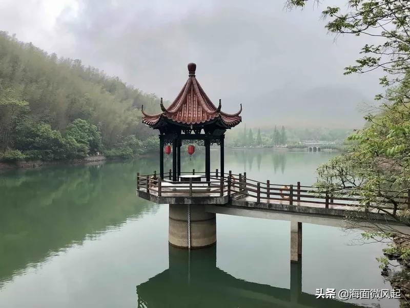 湖北宜兴竹海天然氧吧,宜兴天然氧吧森林公园