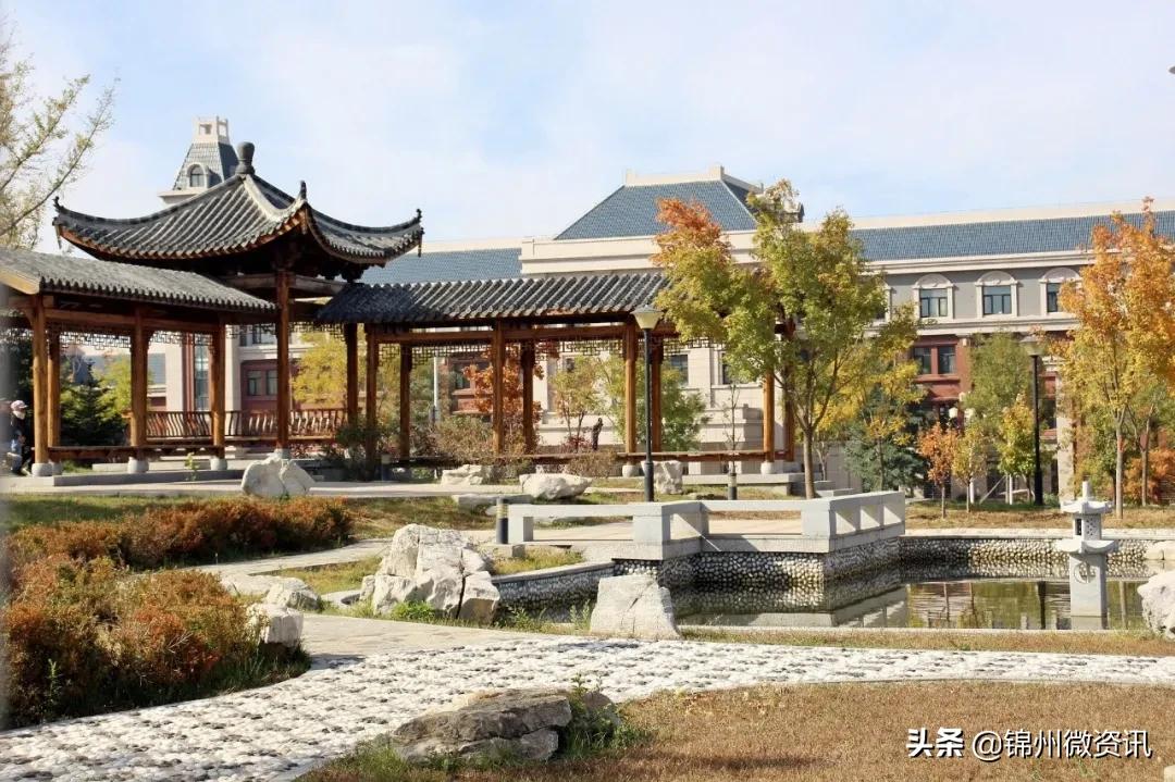 锦州渤海大学校庆献礼！纸短情长，写给我深爱的渤大