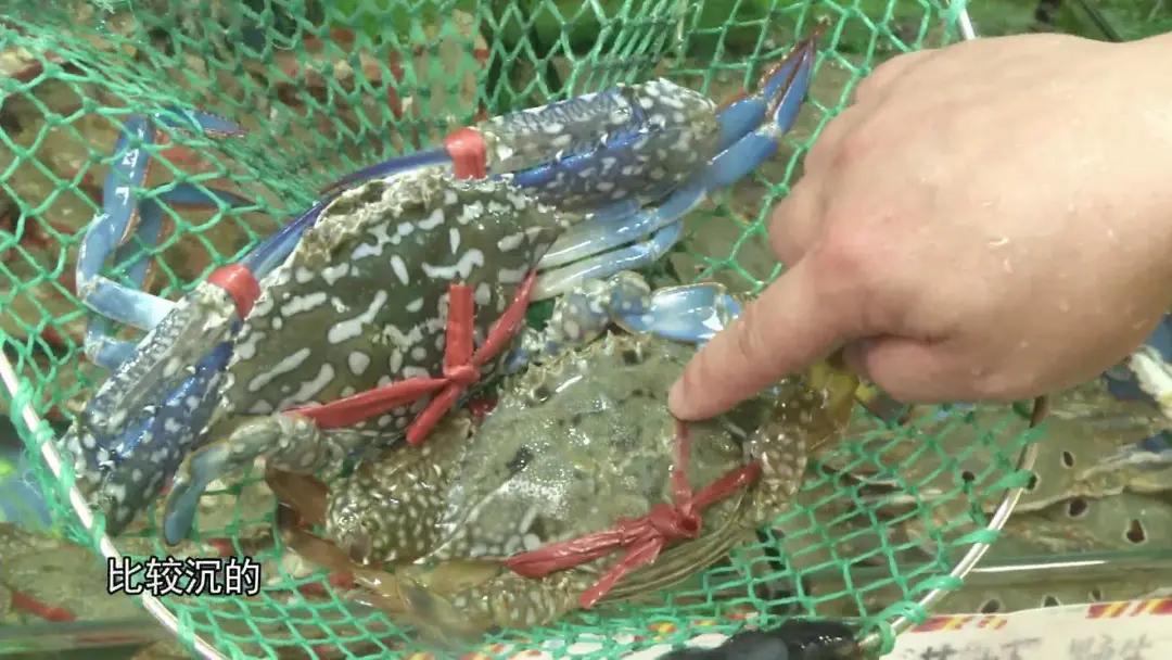 怎么挑选肥美的大闸蟹公蟹,秋季吃蟹指南