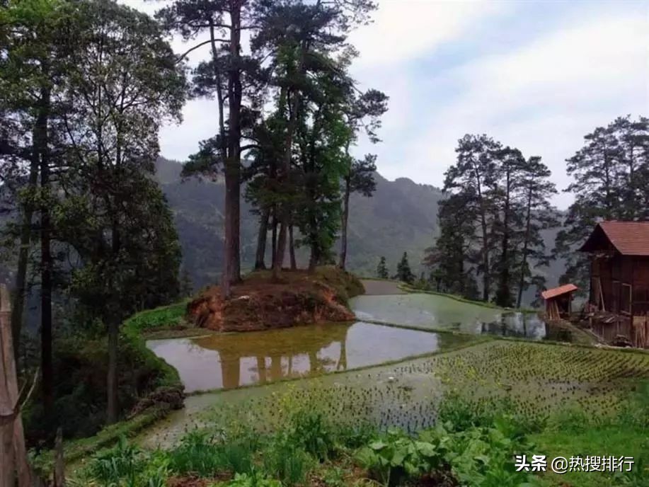 苗族歌手张丽娅邀请你:这个春天,我们相聚苗族锡绣发源地!