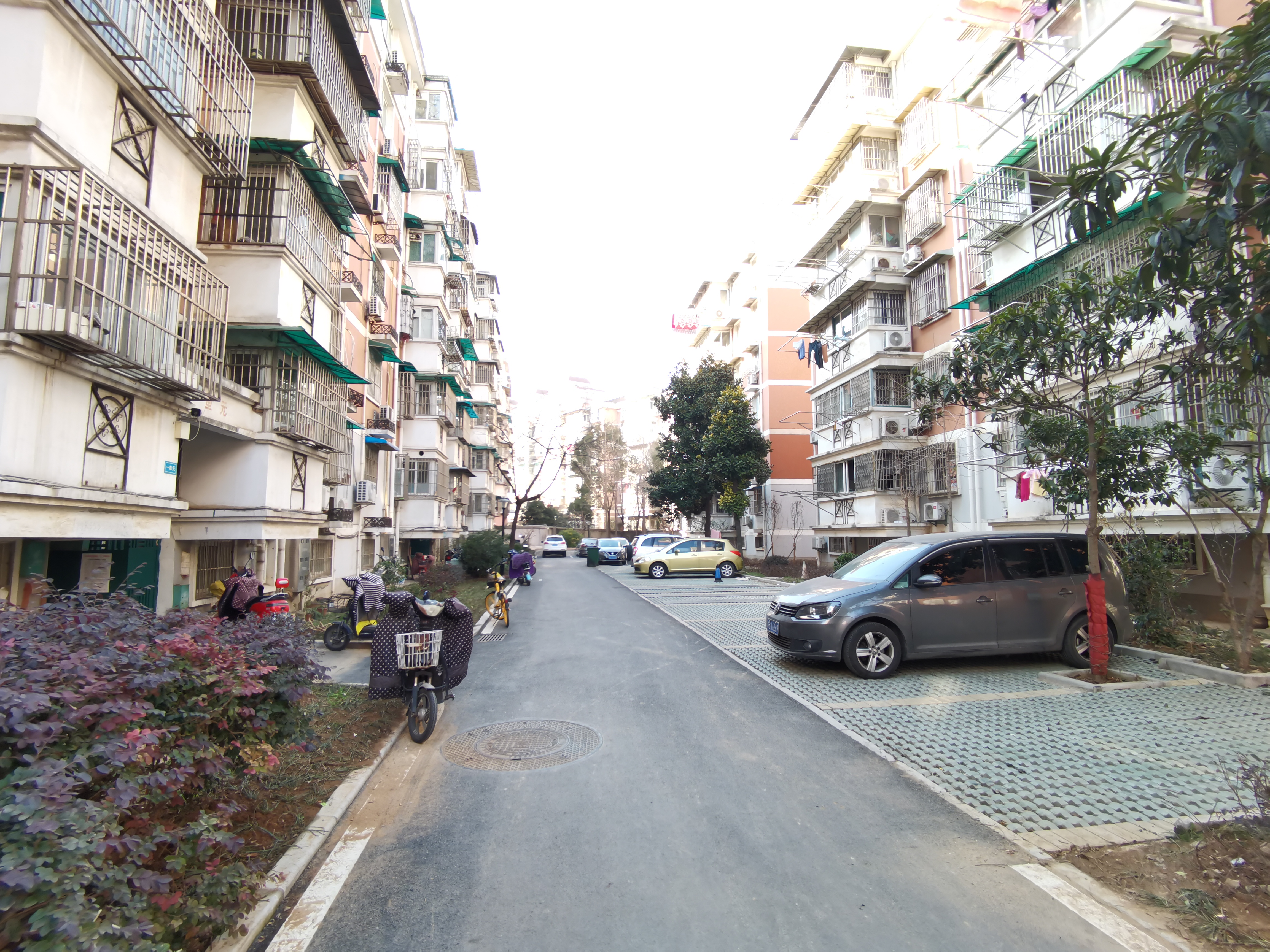 育红小学学区房有哪些,育红11中