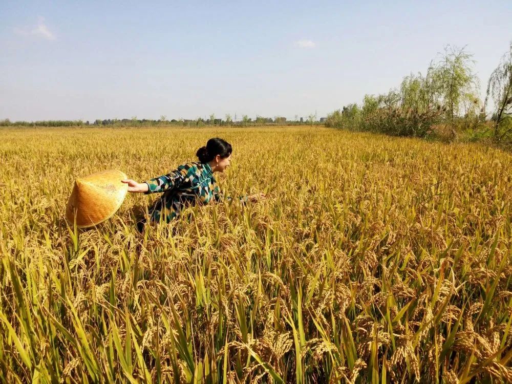 淄博新消息,淄博新景区最新消息