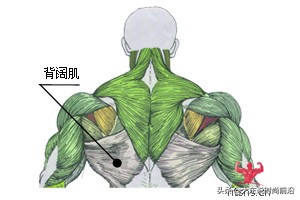 减脂午餐一周安排表,减脂健身计划一周表图