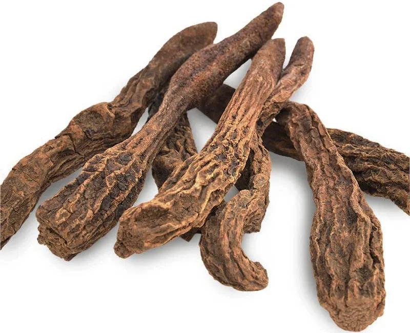 中药锁阳治什么病,中药古今研究羌活