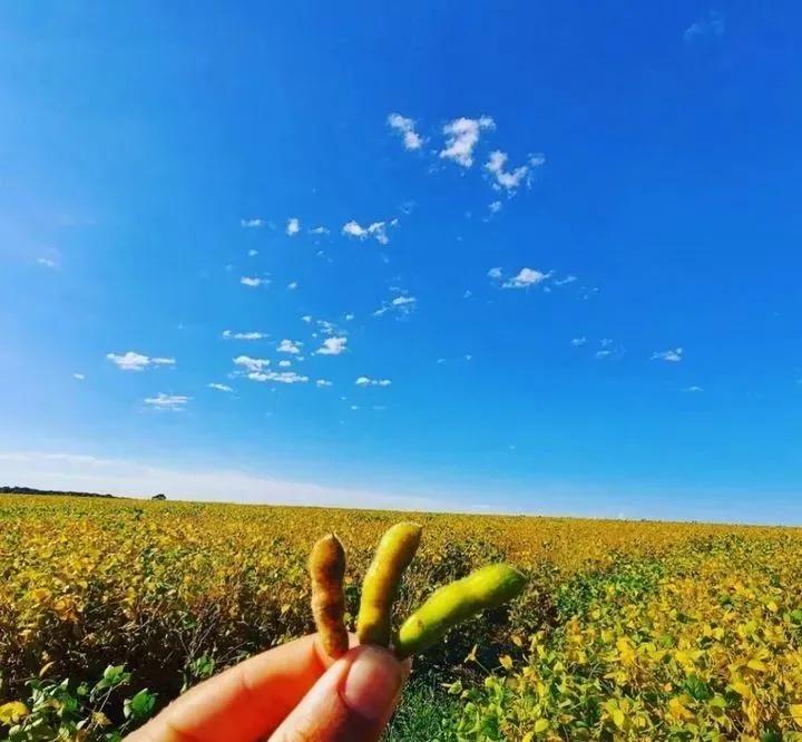 用钱去做农业会怎样,去农村搞种植业投资怎样做最好