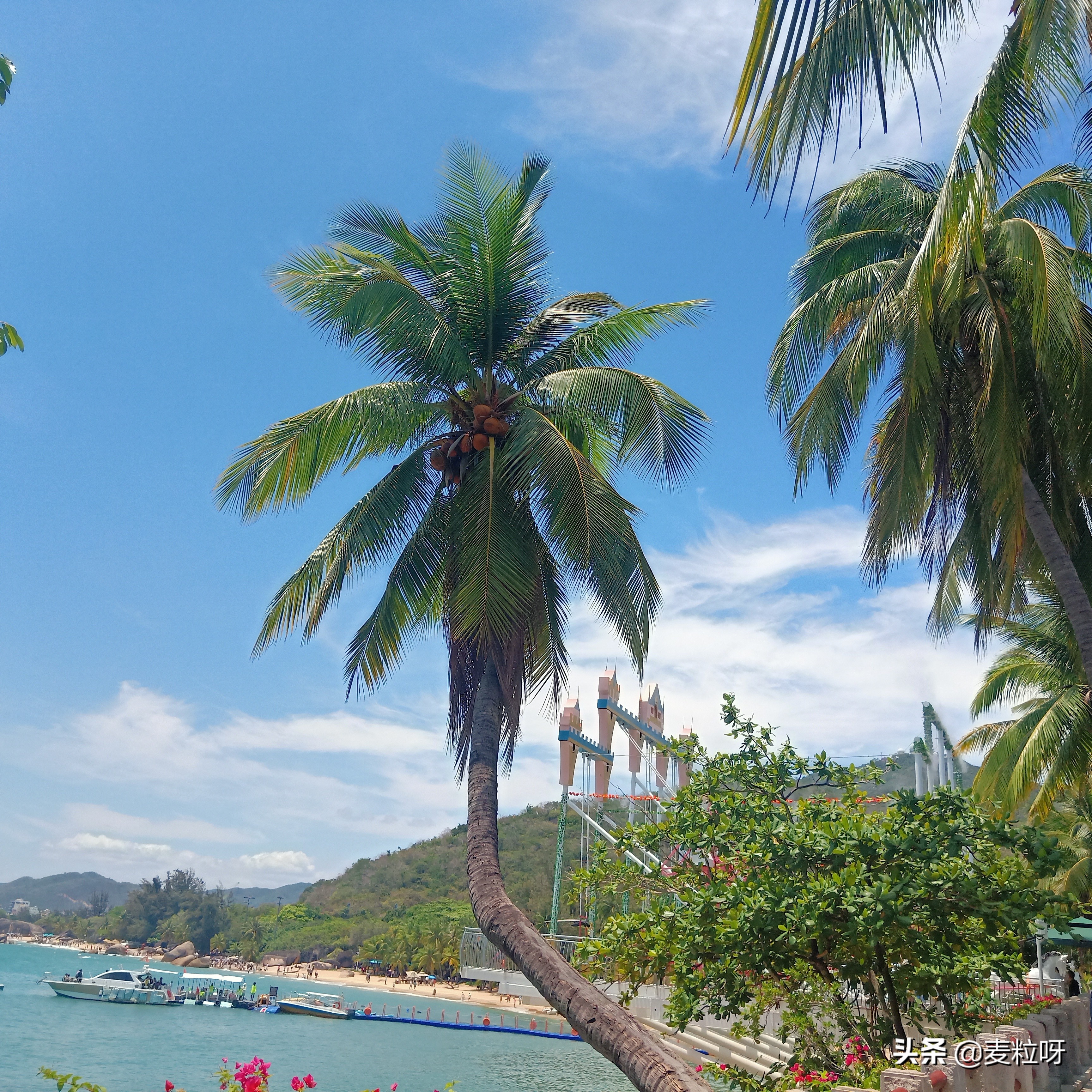 跟团三亚旅游岛上注意事项,海南三亚蜈支洲岛游玩心得