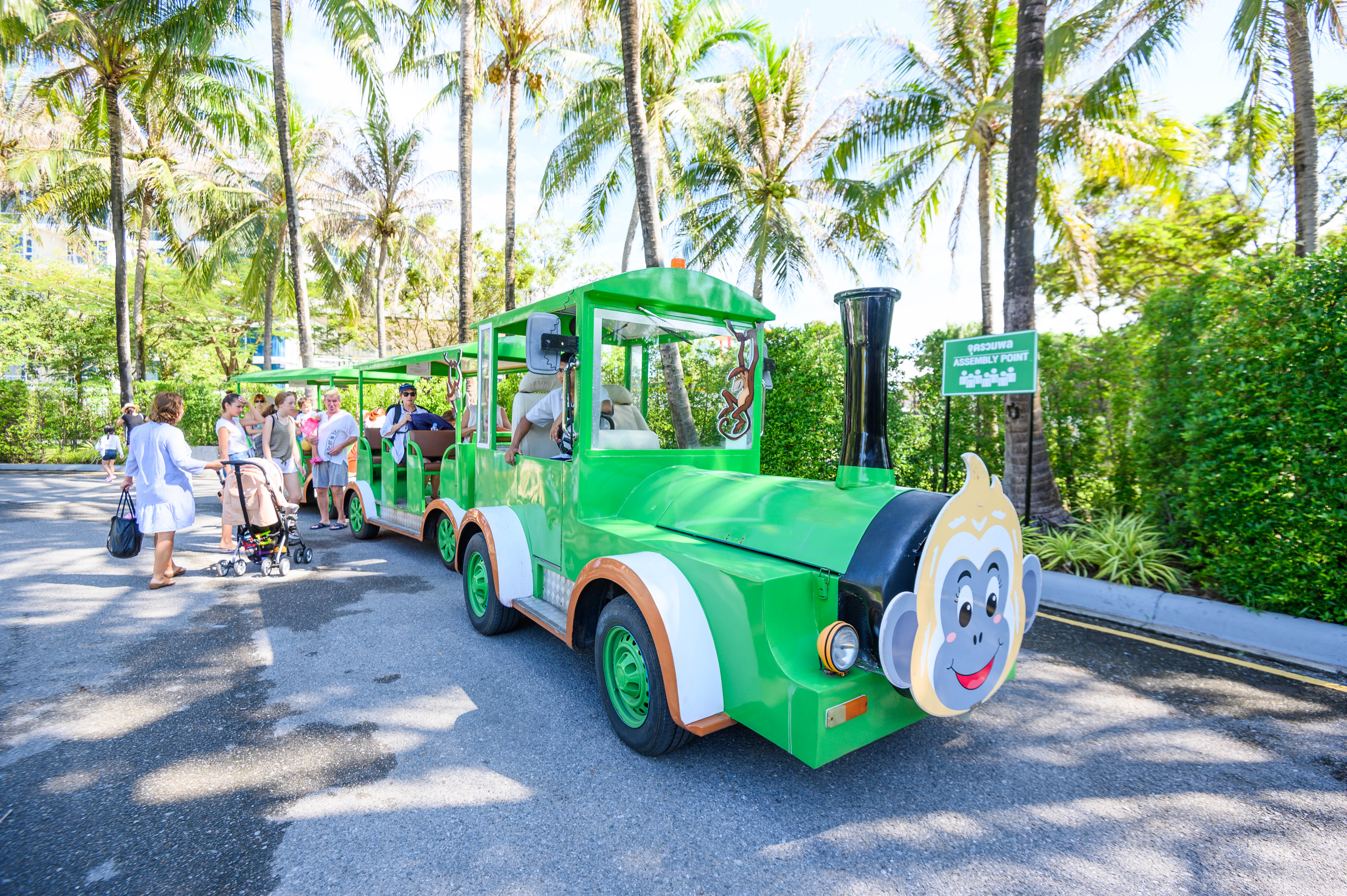 泰国旅游团有没有体验泰拳,泰国旅游不能错过的泰拳体验