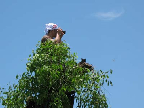 黄贯中传奇一生,音乐教父黄贯中