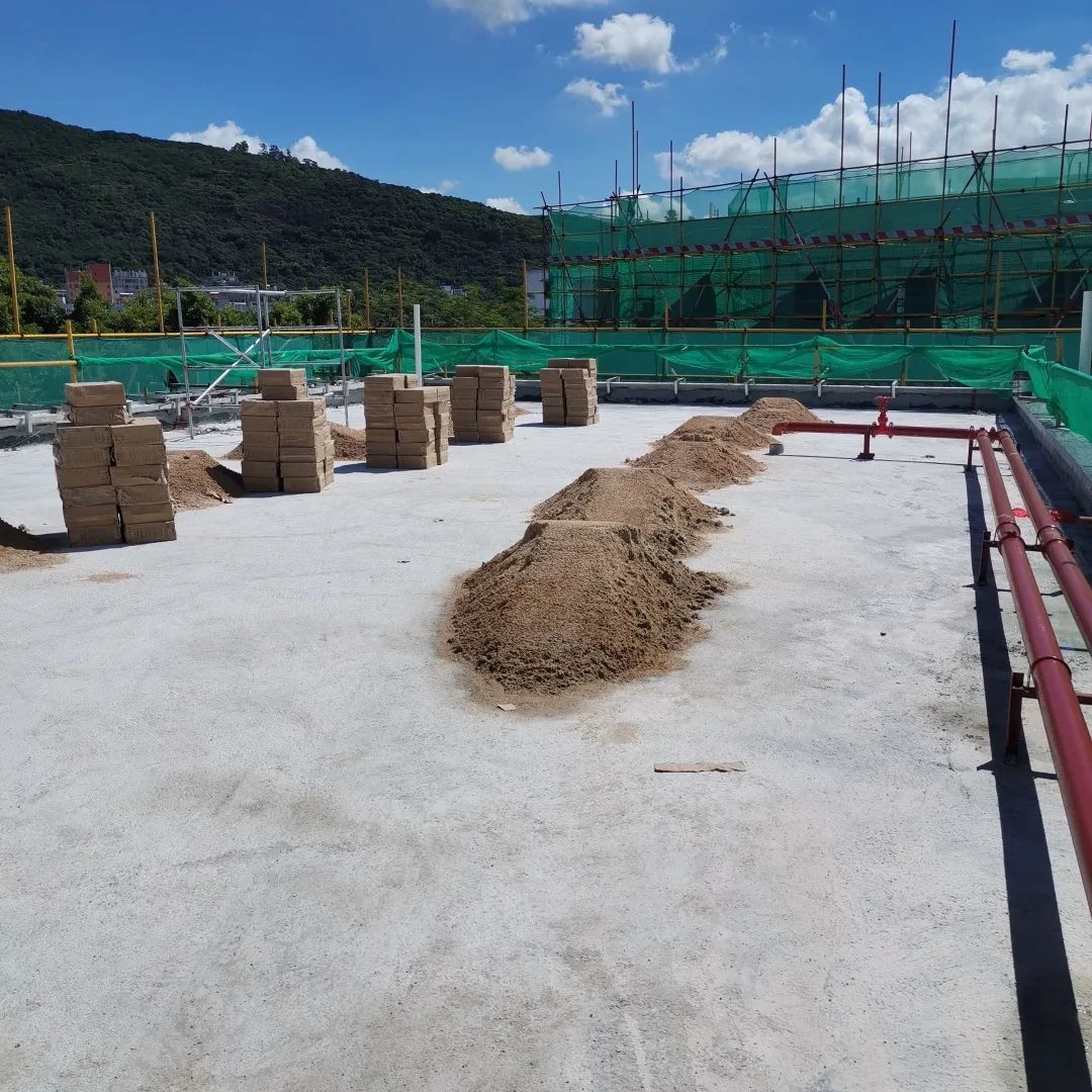 珠光路小学刚建时的照片,珠光小学现在变成什么样了