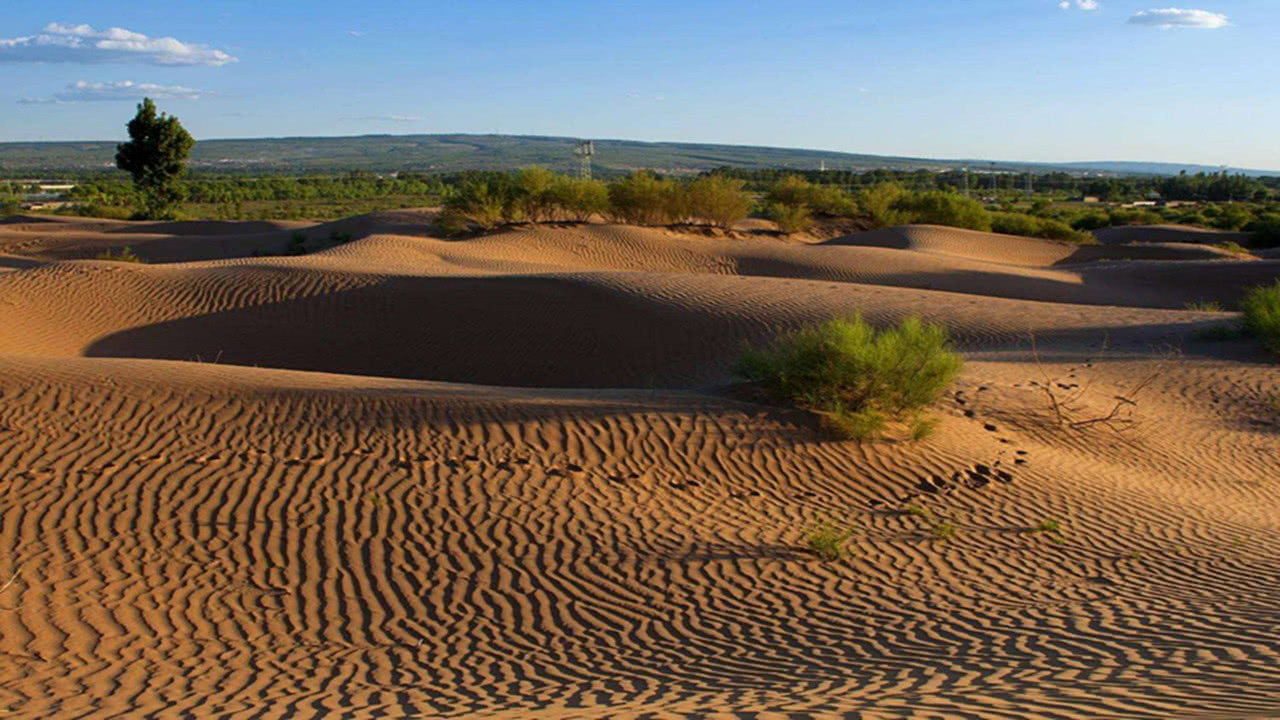 为什么阻止沙漠变成森林,如果沙漠全部变成森林地球会怎样