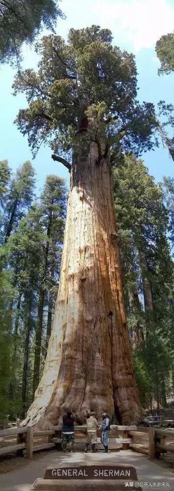 最新世界十大“怪”,最后一个太绝了!