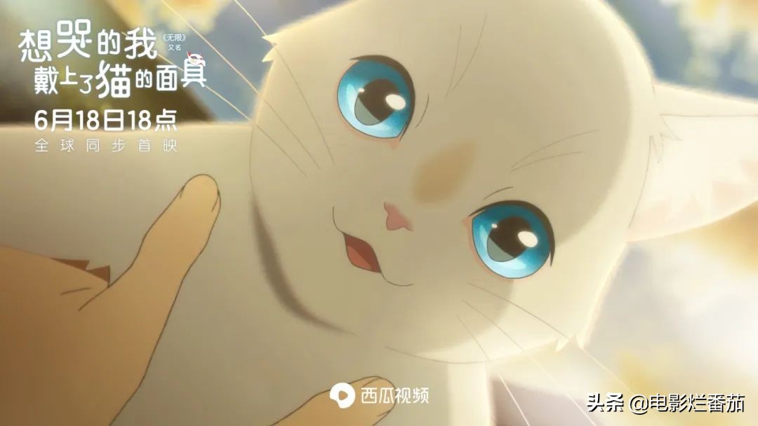 这部温情的撸猫片,让我哭得溃不成军,这是全世界猫*党**的胜利