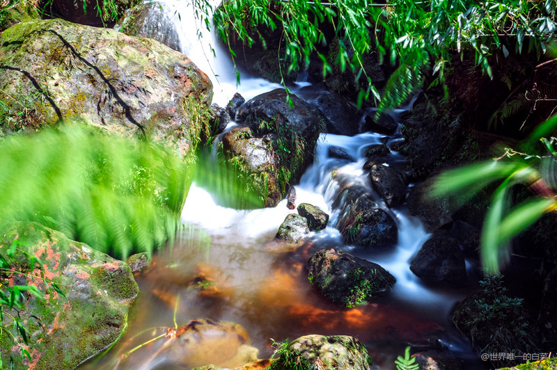 沐川竹海夏天美景,沐川竹海能避暑吗