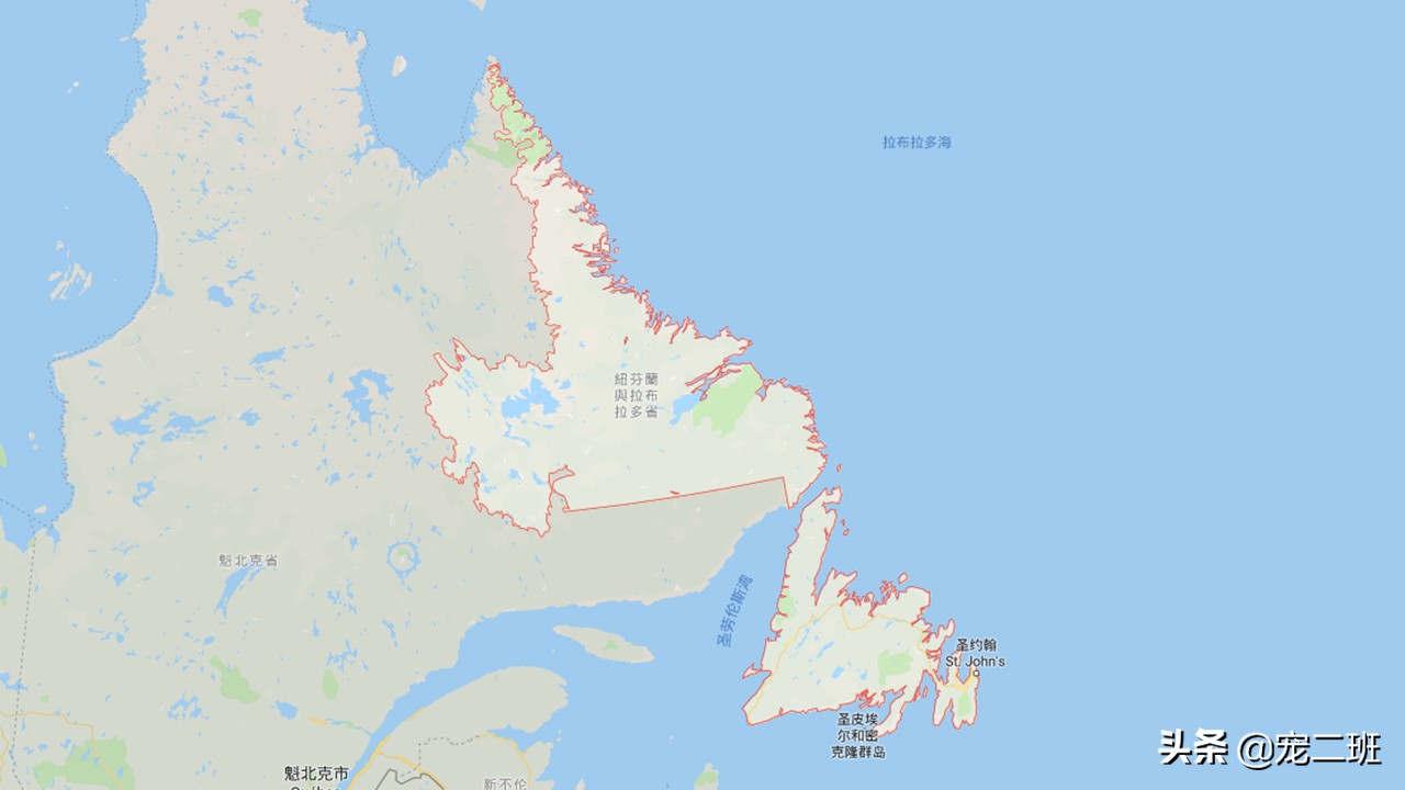 拉布拉多寻回猎犬杂色,拉布拉多猎犬的生活