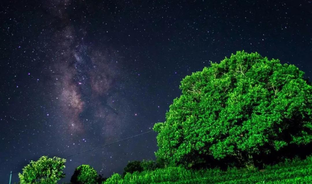顶级温泉酒店体验,丽水最好的温泉酒店