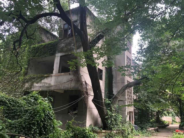 崔家店在成都的什么位置 (成都崔家店最好的地方)