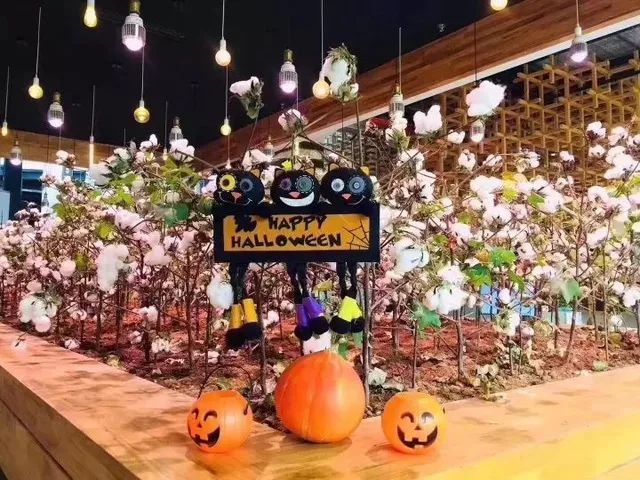 马蜂窝退单赔付,马蜂窝赔偿案例