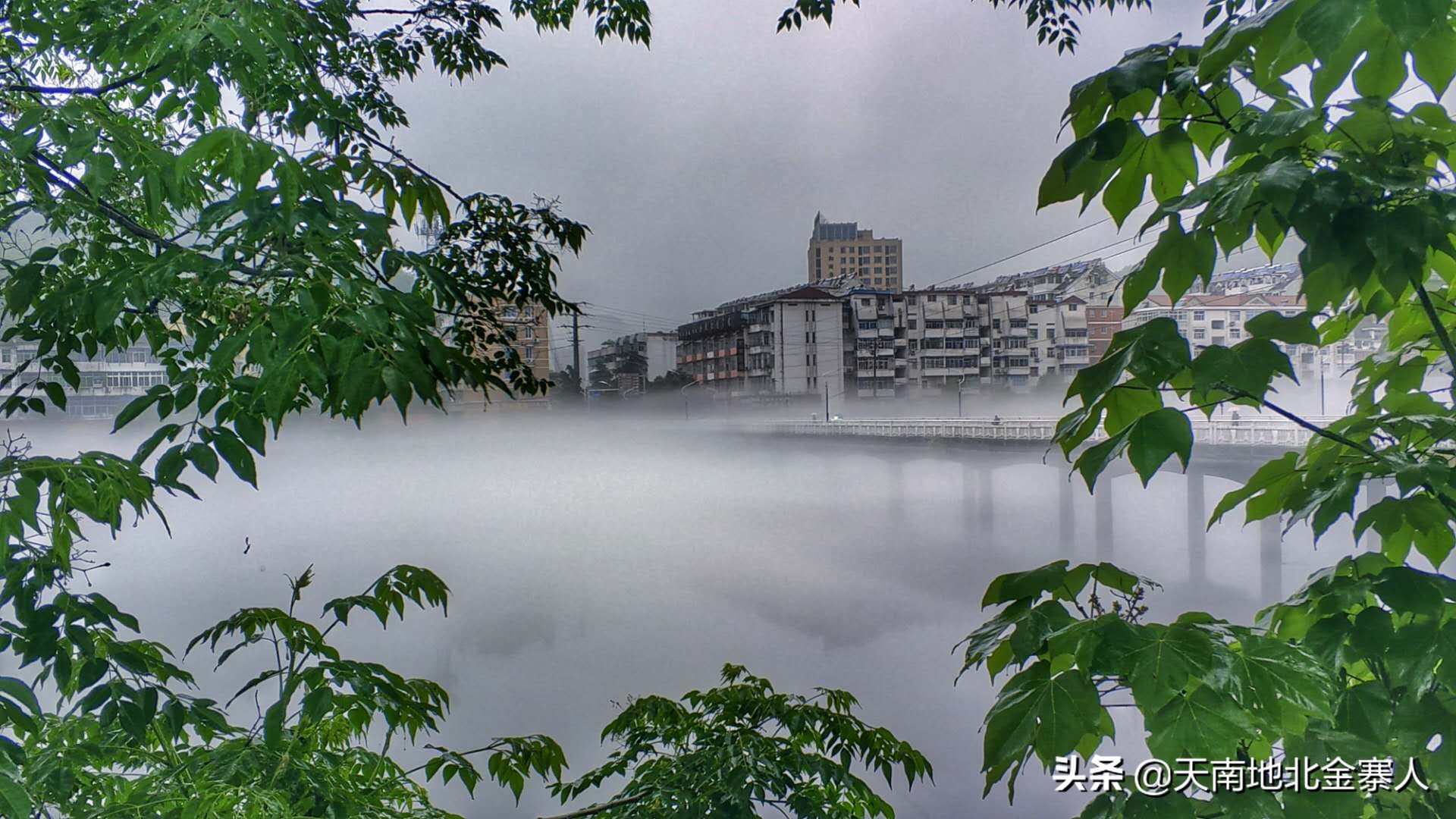 你好我叫王思聪微博截图,你好我叫阿杰