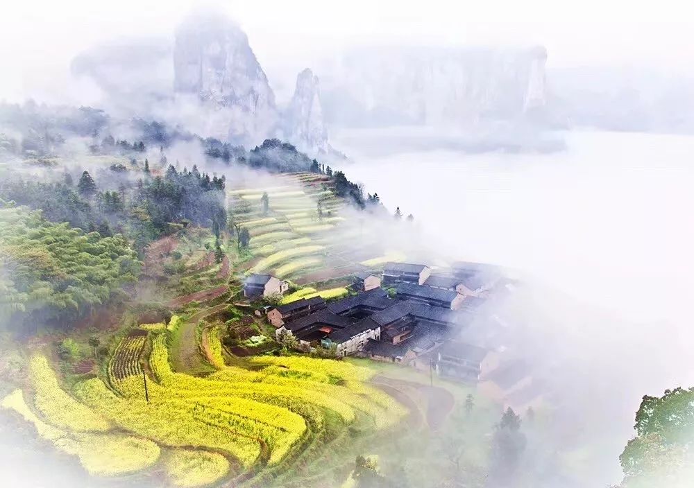 眺云海秘境、西子春晓，每一家都是旅行艺术，带你躺入春天~