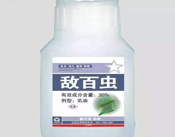 养鱼必备的10种药物,养鱼知识大全鱼塘鱼药