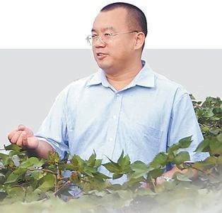 中国农业补贴全世界,中国农业补贴和外国相比