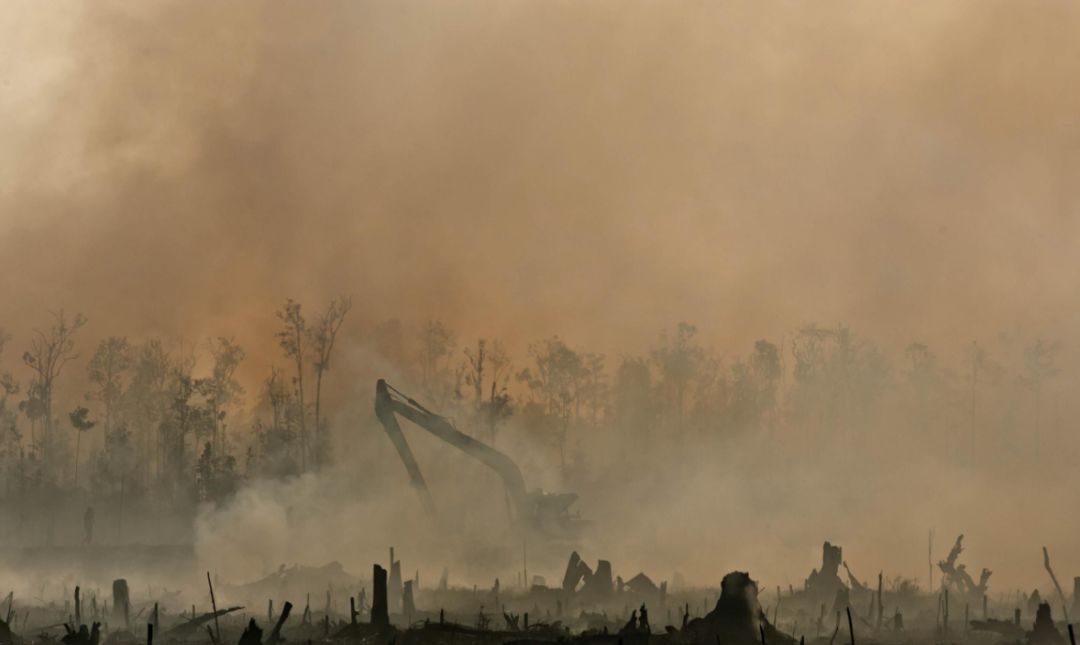 新加坡烟霾问题“冲”出南洋，登上中国高考试卷......