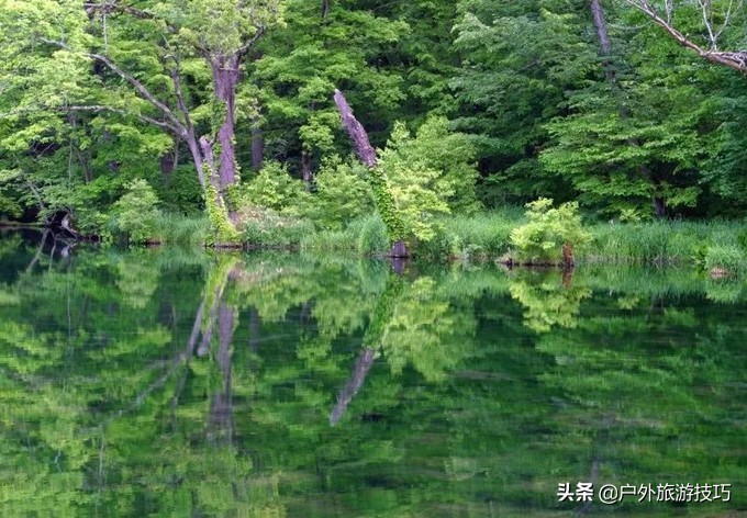富良野一日游经典路线,日本北海道富良花海