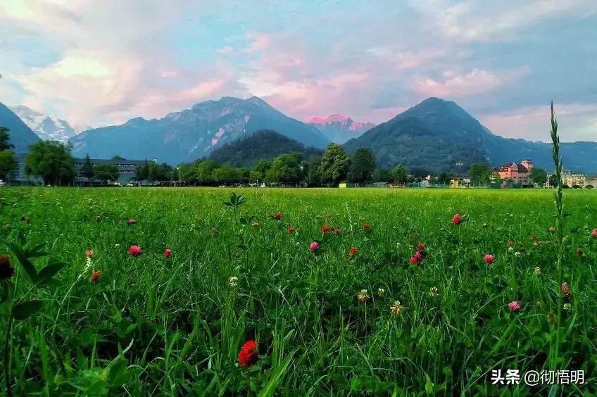 接近大自然气息感受美丽田园风光,瑞士风景花园