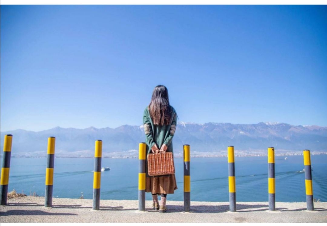 研三女生自杀事件点评,研三女孩去世后续