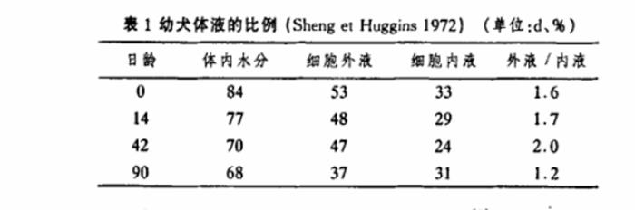 未满月的狗宝宝需要喝水吗,狗宝宝出生多久能吃狗粮