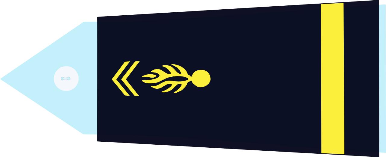 法国将军军衔等级,法国上校是什么军衔