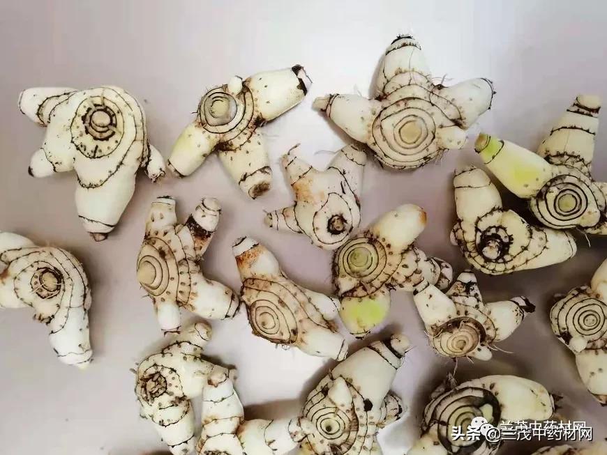 云南昆明中药材交易市场行情报价,云南省地道中药材及市场价