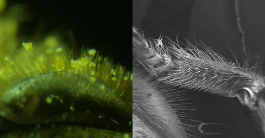 孩子膀胱容量130,儿童最大膀胱容量197正常吗