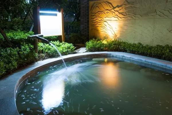 宁波东钱湖温泉酒店排行榜,宁波东钱湖旅游度假酒店推荐