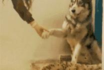 手汗症手出汗滴水,手汗症有异味治疗最佳方法